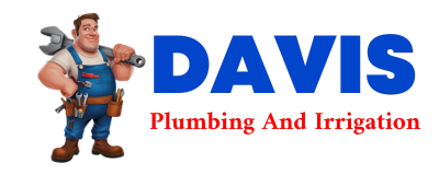 Trusted plumber in PETTUS